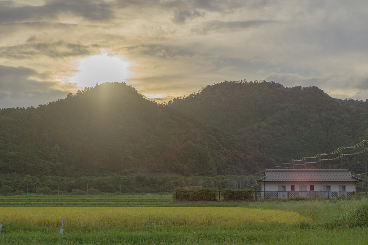 田園風景の写真